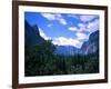 Forest with Mountains, Chile-Michael Brown-Framed Photographic Print