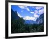 Forest with Mountains, Chile-Michael Brown-Framed Photographic Print