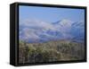 Forest with Snowcapped Mountains in Background, Great Smoky Mountains National Park, Tennessee-Adam Jones-Framed Stretched Canvas