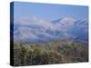 Forest with Snowcapped Mountains in Background, Great Smoky Mountains National Park, Tennessee-Adam Jones-Stretched Canvas