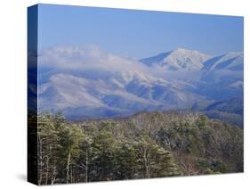 Forest with Snowcapped Mountains in Background, Great Smoky Mountains National Park, Tennessee-Adam Jones-Stretched Canvas