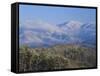 Forest with Snowcapped Mountains in Background, Great Smoky Mountains National Park, Tennessee-Adam Jones-Framed Stretched Canvas