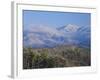 Forest with Snowcapped Mountains in Background, Great Smoky Mountains National Park, Tennessee-Adam Jones-Framed Photographic Print