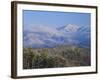 Forest with Snowcapped Mountains in Background, Great Smoky Mountains National Park, Tennessee-Adam Jones-Framed Photographic Print