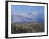 Forest with Snowcapped Mountains in Background, Great Smoky Mountains National Park, Tennessee-Adam Jones-Framed Photographic Print