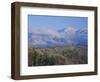 Forest with Snowcapped Mountains in Background, Great Smoky Mountains National Park, Tennessee-Adam Jones-Framed Photographic Print