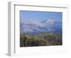 Forest with Snowcapped Mountains in Background, Great Smoky Mountains National Park, Tennessee-Adam Jones-Framed Photographic Print