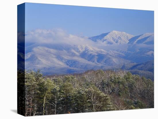 Forest with Snowcapped Mountains in Background, Great Smoky Mountains National Park, Tennessee-Adam Jones-Stretched Canvas