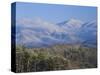 Forest with Snowcapped Mountains in Background, Great Smoky Mountains National Park, Tennessee-Adam Jones-Stretched Canvas