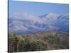 Forest with Snowcapped Mountains in Background, Great Smoky Mountains National Park, Tennessee-Adam Jones-Stretched Canvas