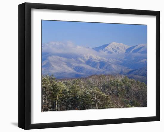 Forest with Snowcapped Mountains in Background, Great Smoky Mountains National Park, Tennessee-Adam Jones-Framed Premium Photographic Print