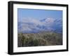 Forest with Snowcapped Mountains in Background, Great Smoky Mountains National Park, Tennessee-Adam Jones-Framed Premium Photographic Print