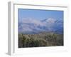 Forest with Snowcapped Mountains in Background, Great Smoky Mountains National Park, Tennessee-Adam Jones-Framed Premium Photographic Print