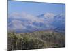 Forest with Snowcapped Mountains in Background, Great Smoky Mountains National Park, Tennessee-Adam Jones-Mounted Premium Photographic Print