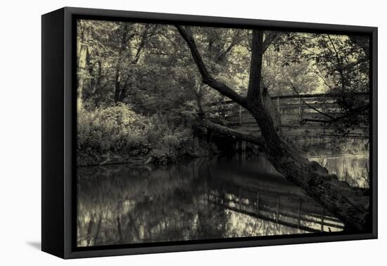 Forest with wooden bridge over brook-Anthony Paladino-Framed Stretched Canvas