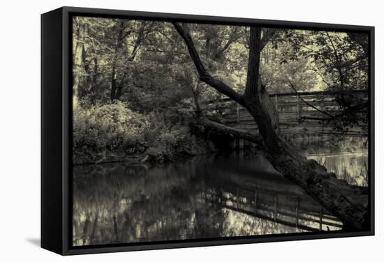 Forest with wooden bridge over brook-Anthony Paladino-Framed Stretched Canvas