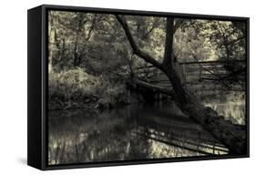 Forest with wooden bridge over brook-Anthony Paladino-Framed Stretched Canvas