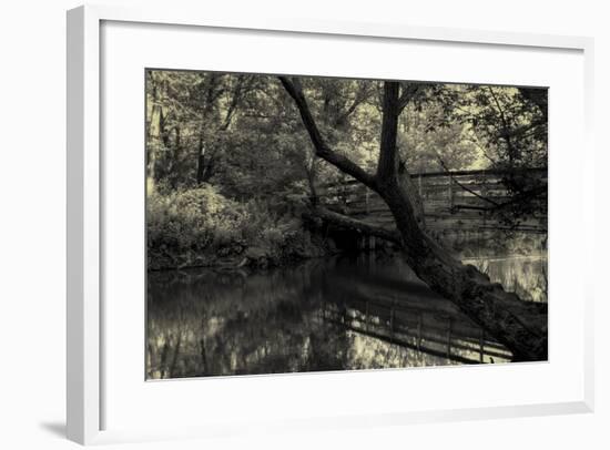 Forest with wooden bridge over brook-Anthony Paladino-Framed Giclee Print