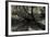 Forest with wooden bridge over brook-Anthony Paladino-Framed Giclee Print