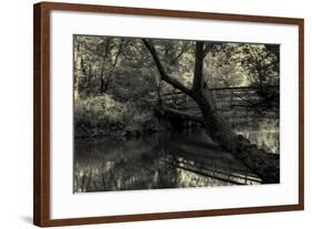 Forest with wooden bridge over brook-Anthony Paladino-Framed Giclee Print