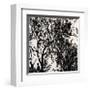 Forest-Kara Smith-Framed Giclee Print