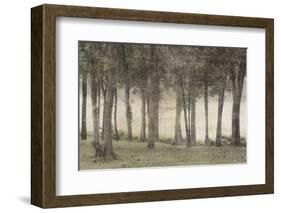 Forest-Erin Clark-Framed Art Print