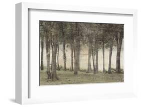 Forest-Erin Clark-Framed Art Print