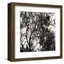 Forest-Kara Smith-Framed Art Print