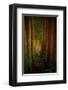 Forest-null-Framed Art Print