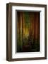 Forest-null-Framed Art Print