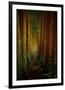 Forest-null-Framed Premium Giclee Print