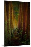 Forest-null-Mounted Premium Giclee Print