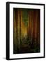 Forest-null-Framed Art Print