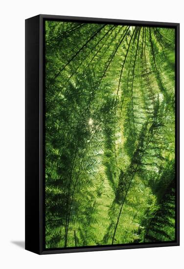 Forest-null-Framed Stretched Canvas