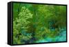 Forest-null-Framed Stretched Canvas