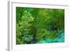 Forest-null-Framed Photographic Print