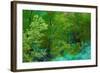Forest-null-Framed Photographic Print