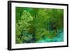 Forest-null-Framed Photographic Print