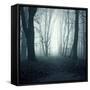 Forest-Mark Ashkenazi-Framed Stretched Canvas