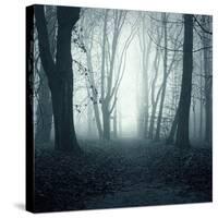 Forest-Mark Ashkenazi-Stretched Canvas