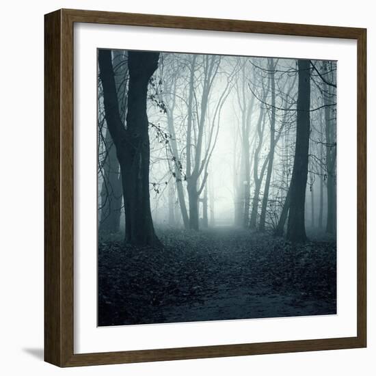 Forest-Mark Ashkenazi-Framed Giclee Print