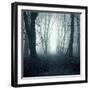 Forest-Mark Ashkenazi-Framed Giclee Print