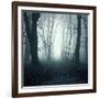 Forest-Mark Ashkenazi-Framed Giclee Print