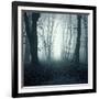 Forest-Mark Ashkenazi-Framed Giclee Print