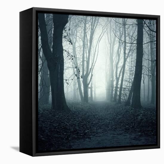 Forest-Mark Ashkenazi-Framed Stretched Canvas