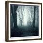 Forest-Mark Ashkenazi-Framed Giclee Print