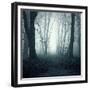 Forest-Mark Ashkenazi-Framed Giclee Print