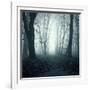 Forest-Mark Ashkenazi-Framed Giclee Print