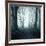 Forest-Mark Ashkenazi-Framed Giclee Print