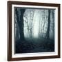 Forest-Mark Ashkenazi-Framed Giclee Print